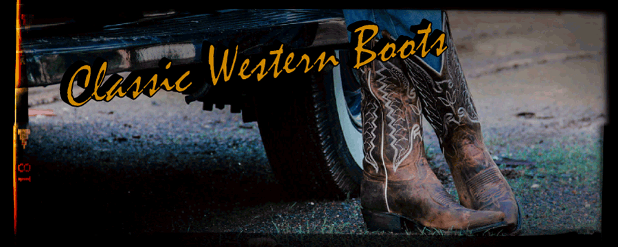Stivali stivale texani country western cowboy uomo boot serpente