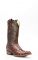 Cuadra Boots en cuir de crocodile, rustique brun foncé pointu