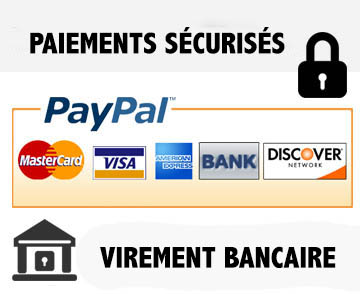 Paiements sécurisés avec PayPal